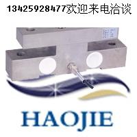 供应高精密低价称重变送器